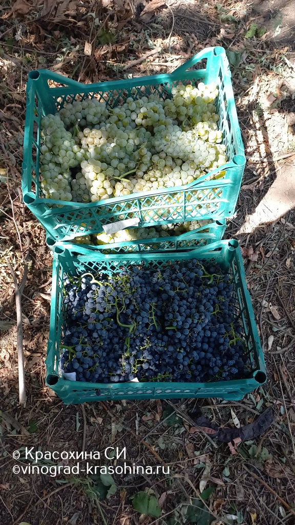 IMG-20220824-WA0002.jpeg